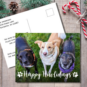 Cartes Pour Fêtes Annuelles Joyeux Howlidays Chien Photo Noël