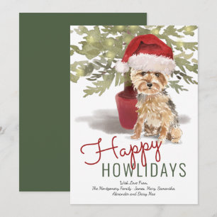 Cartes Pour Fêtes Annuelles Joyeux Howlidays Mignon Yorkshire Terrier à l'aqua