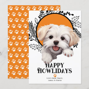 Cartes Pour Fêtes Annuelles Joyeux Howlidays Noël de chien maltais