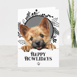 Cartes Pour Fêtes Annuelles Joyeux Howlidays Norwich Terrier Dog Christmas