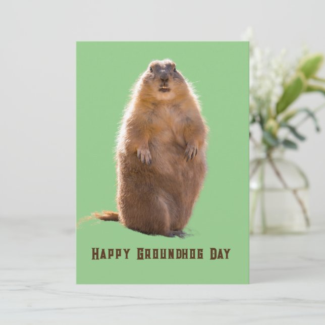 Cartes Pour Fêtes Annuelles Joyeux Jour de marmotte amusant (Debout devant)