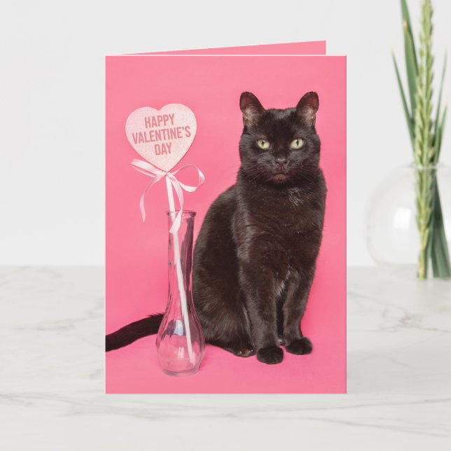 Cartes Pour Fêtes Annuelles Joyeux Jour des Valentines pour toute personne mig (Devant)