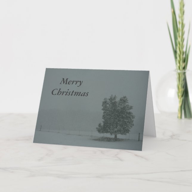 Cartes Pour Fêtes Annuelles Joyeux Noël (Devant)