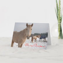 Joyeux Noël