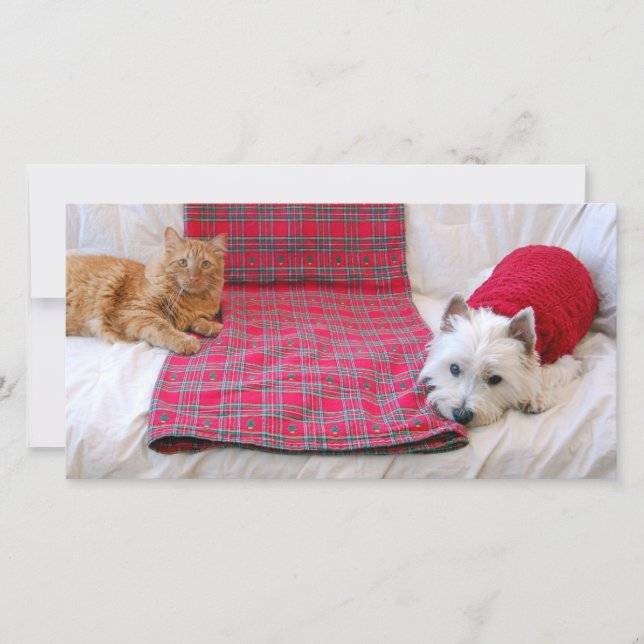 Cartes Pour Fêtes Annuelles Joyeux Noël (Devant)