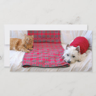 Cartes Pour Fêtes Annuelles Joyeux Noël