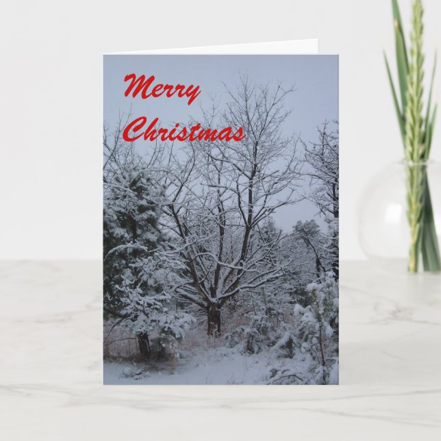 Cartes Pour Fêtes Annuelles Joyeux Noël (Devant)