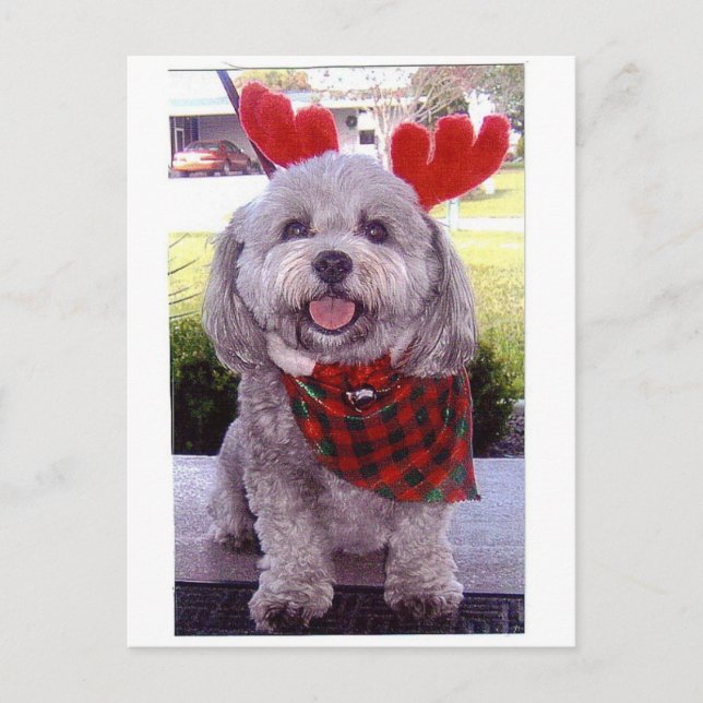 Cartes Pour Fêtes Annuelles Joyeux Noël (Devant)