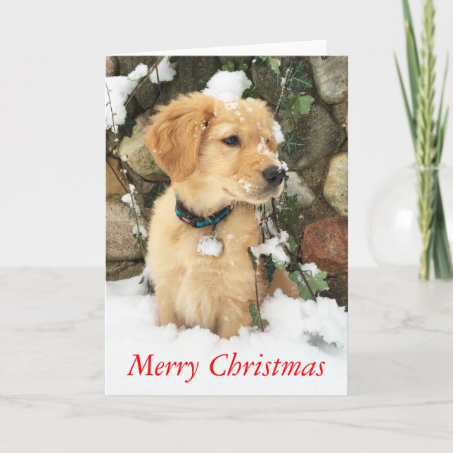Cartes Pour Fêtes Annuelles Joyeux Noël (Devant)