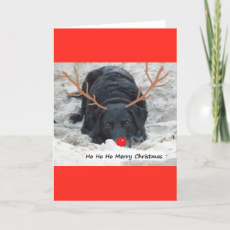 Cartes Pour Fêtes Annuelles Joyeux Noël