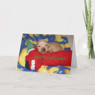 Cartes Pour Fêtes Annuelles Joyeux Noël !