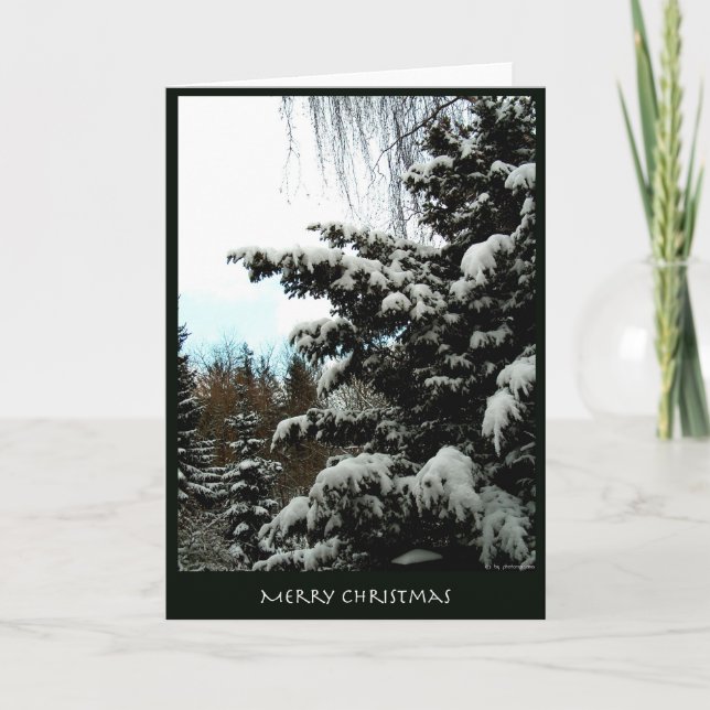 Cartes Pour Fêtes Annuelles Joyeux Noël (Devant)