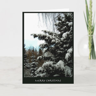 Cartes Pour Fêtes Annuelles Joyeux Noël