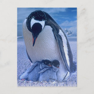 Cartes Pour Fêtes Annuelles Joyeux Noël