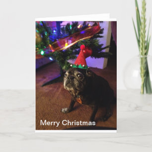 Cartes Pour Fêtes Annuelles Joyeux Noël