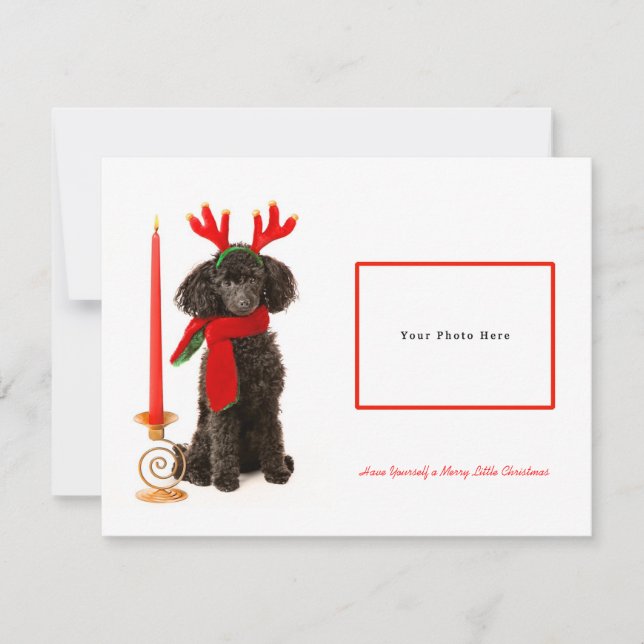 Cartes Pour Fêtes Annuelles Joyeux Noël à la canicule de Jouet noir (Devant)