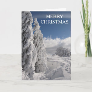 Cartes Pour Fêtes Annuelles Joyeux Noël à la Pine des neiges