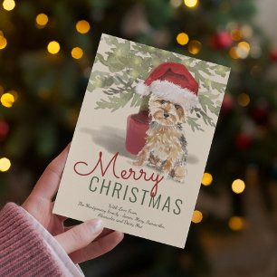 Cartes Pour Fêtes Annuelles Joyeux Noël Adorable Yorkshire Terrier