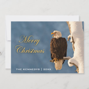 Cartes Pour Fêtes Annuelles Joyeux Noël - Aigle chauve perché