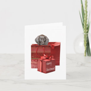 Cartes Pour Fêtes Annuelles Joyeux Noël Allemand pointeur court
