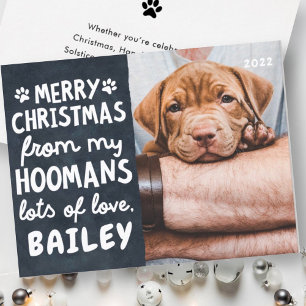 Cartes Pour Fêtes Annuelles Joyeux Noël Amusant animal de compagnie moderne Ph