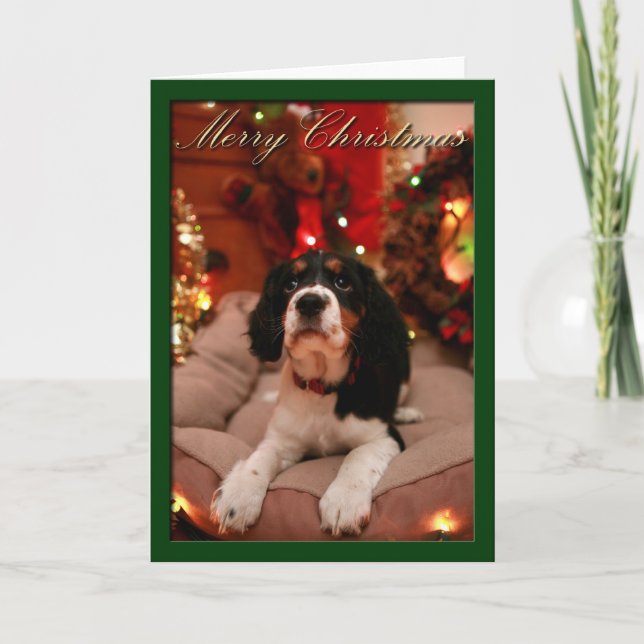 Cartes Pour Fêtes Annuelles Joyeux Noël Anglais Springer Spaniel, Springer (Devant)