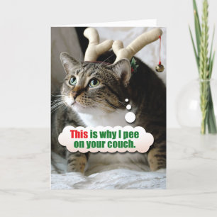 Cartes Pour Fêtes Annuelles Joyeux Noël animal - Pie sur canapé