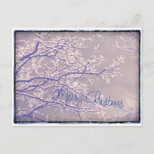 Cartes Pour Fêtes Annuelles Joyeux Noël Arbre d'hiver Branches (Devant)