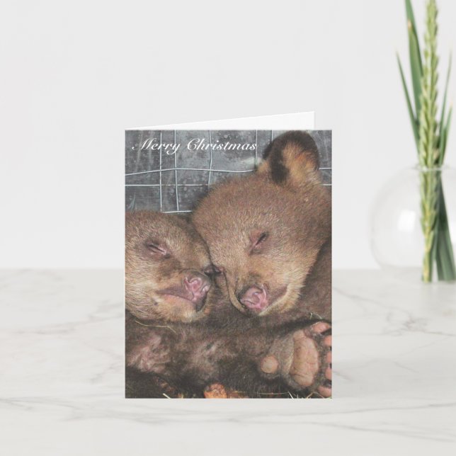 Cartes Pour Fêtes Annuelles Joyeux Noël - Ata & Awina (Devant)