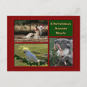 Cartes Pour Fêtes Annuelles Joyeux Noël Aussie Animaux