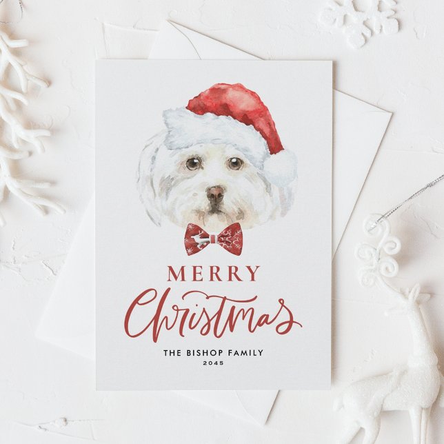 Cartes Pour Fêtes Annuelles Joyeux Noël avec un Maltais mignon à l'aquarelle (Créateur téléchargé)