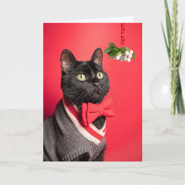 Cartes Pour Fêtes Annuelles Joyeux Noël Beau Chat Avec Gui Humour (Devant)