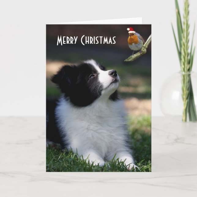 Cartes Pour Fêtes Annuelles Joyeux Noël Bébé Bordure Collie (Devant)