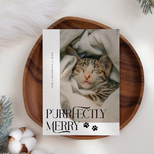Cartes Pour Fêtes Annuelles Joyeux Noël blanc photo de chat