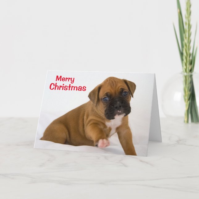 Cartes Pour Fêtes Annuelles Joyeux Noël boîte de Puppy Card (Devant)