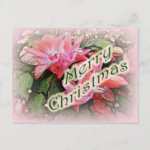 Cartes Pour Fêtes Annuelles Joyeux Noël Cactus Fleurs de Noël 2