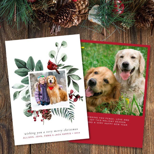 Cartes Pour Fêtes Annuelles Joyeux Noël Cardinal Rouge 2 Photo (Créateur téléchargé)