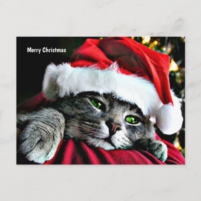 Cartes Pour Fêtes Annuelles Joyeux Noël Chat (Devant)