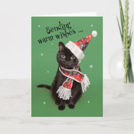 Cartes Pour Fêtes Annuelles Joyeux Noël Chat Drôle avec Chapeau et Écharpe
