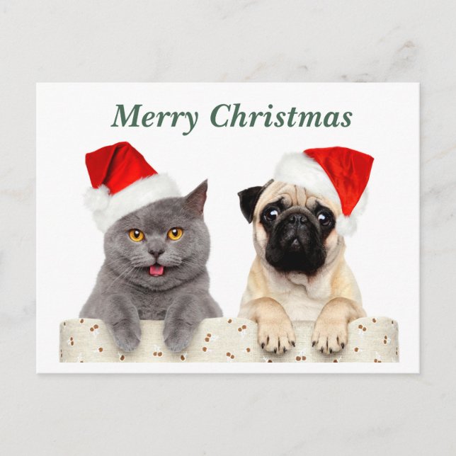 Cartes Pour Fêtes Annuelles Joyeux Noël Chat et chien Carlin (Devant)