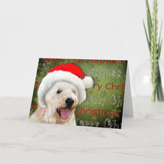 Cartes Pour Fêtes Annuelles Joyeux Noël - Chien à Santa Hat (Devant)