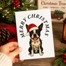 Joyeux Noël Chien Boston Terrier Mignon Chapeau de