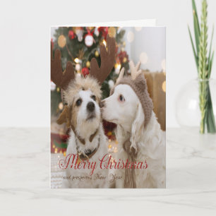 Cartes Pour Fêtes Annuelles Joyeux Noël, Chiens Amoureux