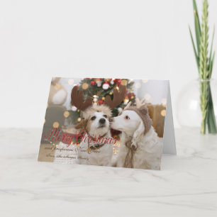 Cartes Pour Fêtes Annuelles Joyeux Noël, Chiens Amoureux
