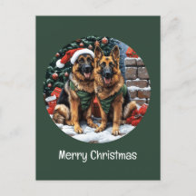 Joyeux Noël Chiens bergers allemands
