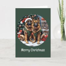 Joyeux Noël Chiens bergers allemands