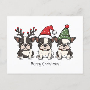 Cartes Pour Fêtes Annuelles Joyeux Noël Chiens Boston Terrier