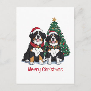 Cartes Pour Fêtes Annuelles Joyeux Noël Chiens de Montagne Bernois