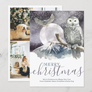 Cartes Pour Fêtes Annuelles Joyeux Noël Chouette neigeuse Personnalisée
