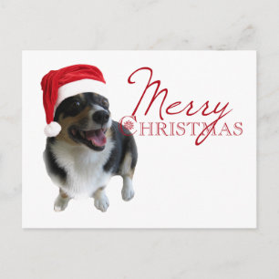 Cartes Pour Fêtes Annuelles Joyeux Noël Corgi Père Noël